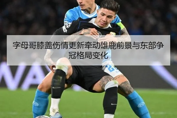 字母哥膝盖伤情更新牵动雄鹿前景与东部争冠格局变化 | leyu