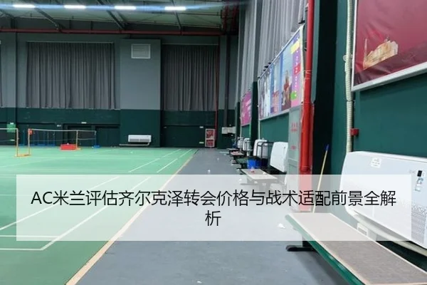 AC米兰评估齐尔克泽转会价格与战术适配前景全解析 | leyu