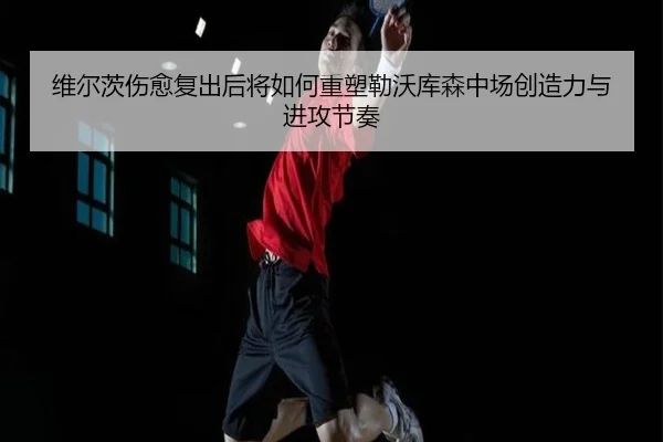 维尔茨伤愈复出后将如何重塑勒沃库森中场创造力与进攻节奏 | leyu